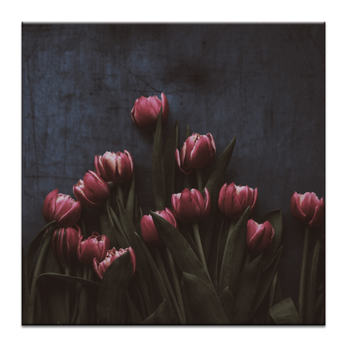 13 Tulips Art Work