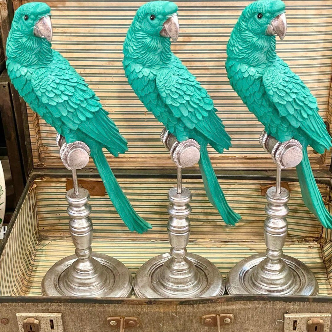 Parrot on Stand in Aqua