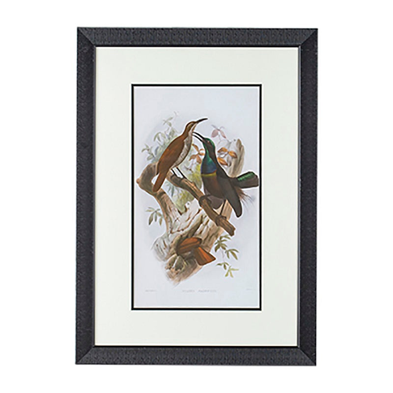 Birds Wall Art Set of 2