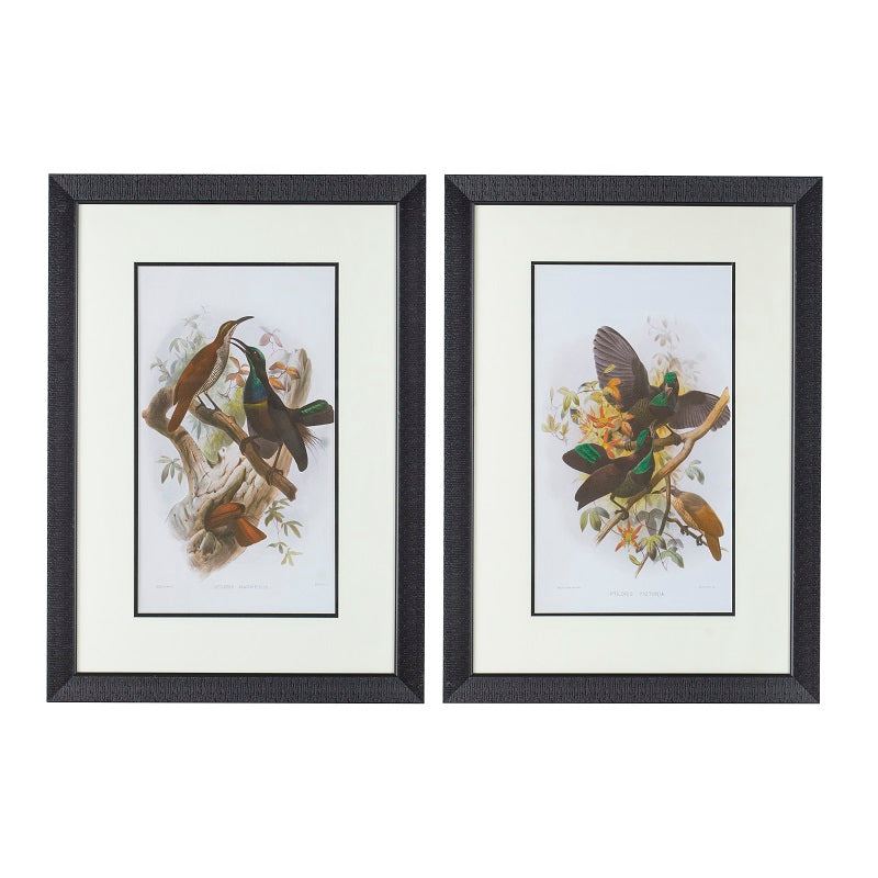 Birds Wall Art Set of 2