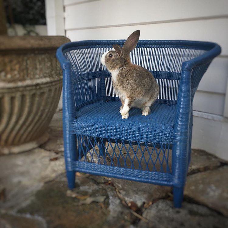 Genuine Malawi Chair in Blue