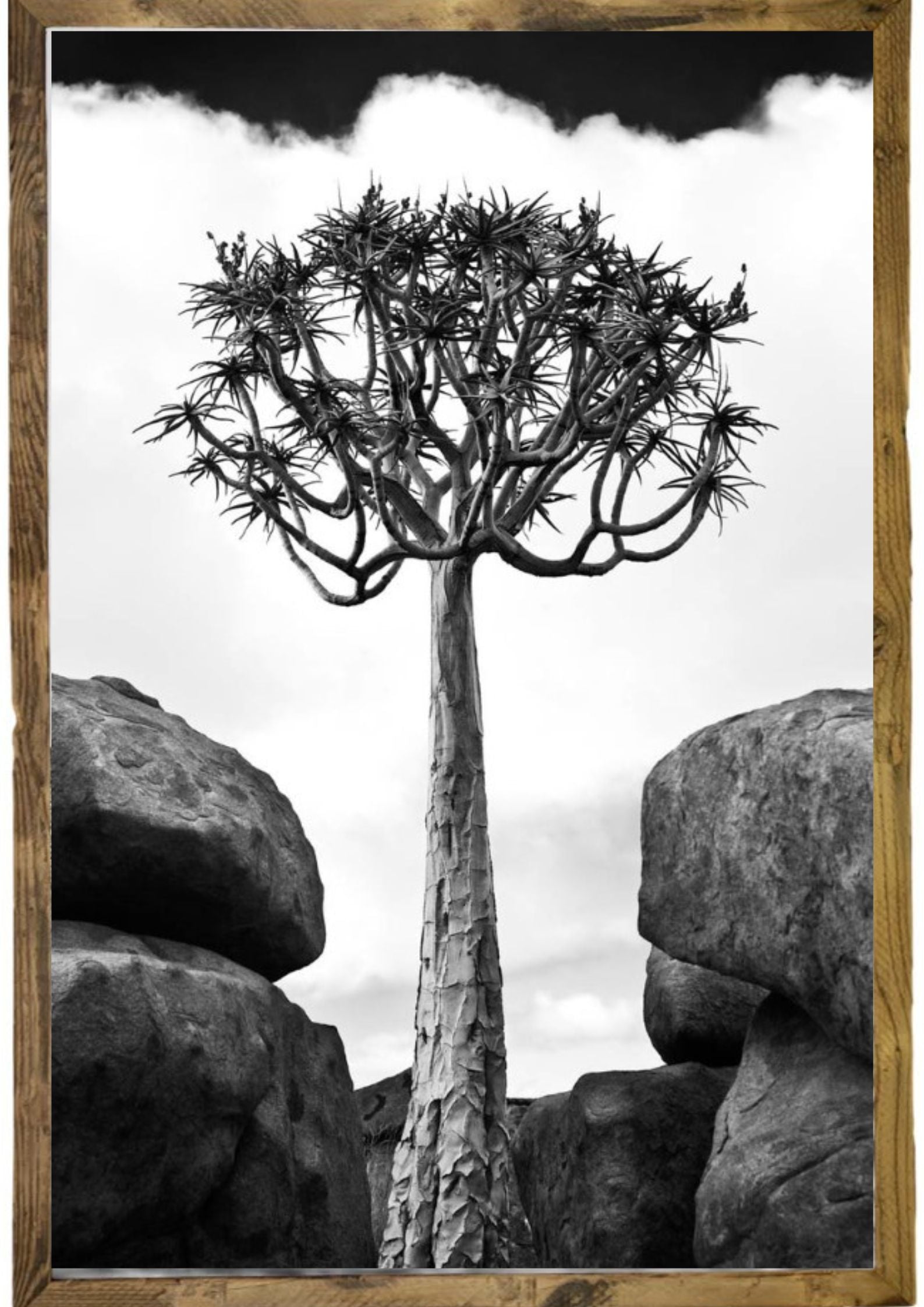 Grandi David Ballam Photography with Frame