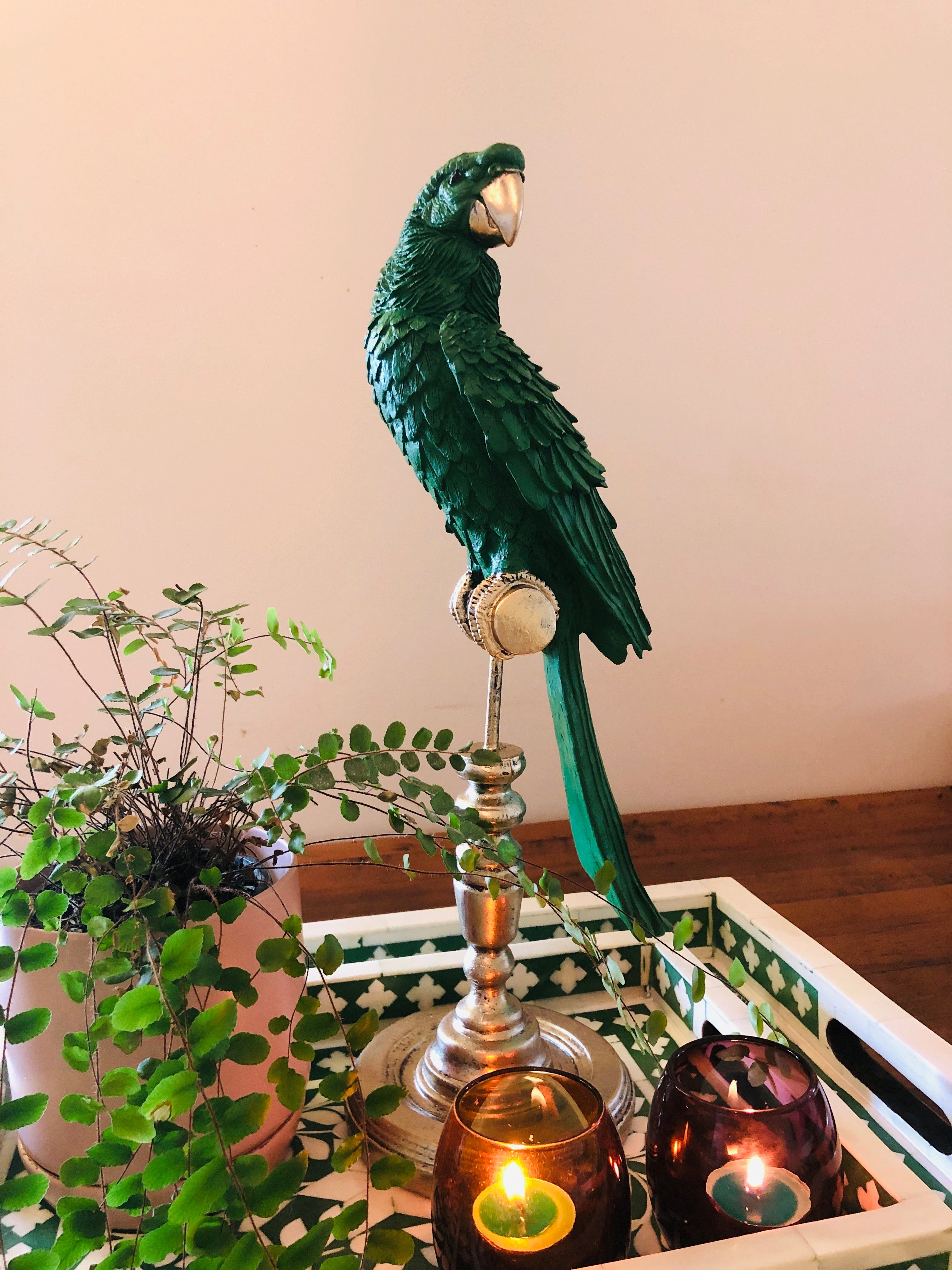 Parrot on Stand in Green