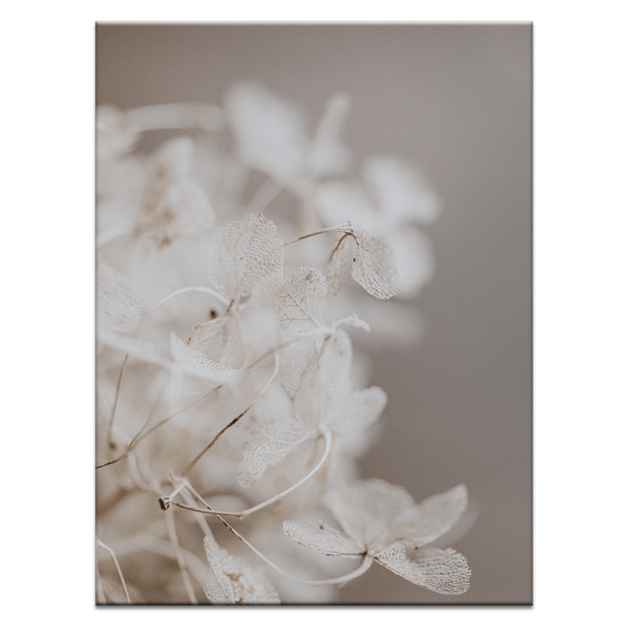 Fairy Wings Art Work