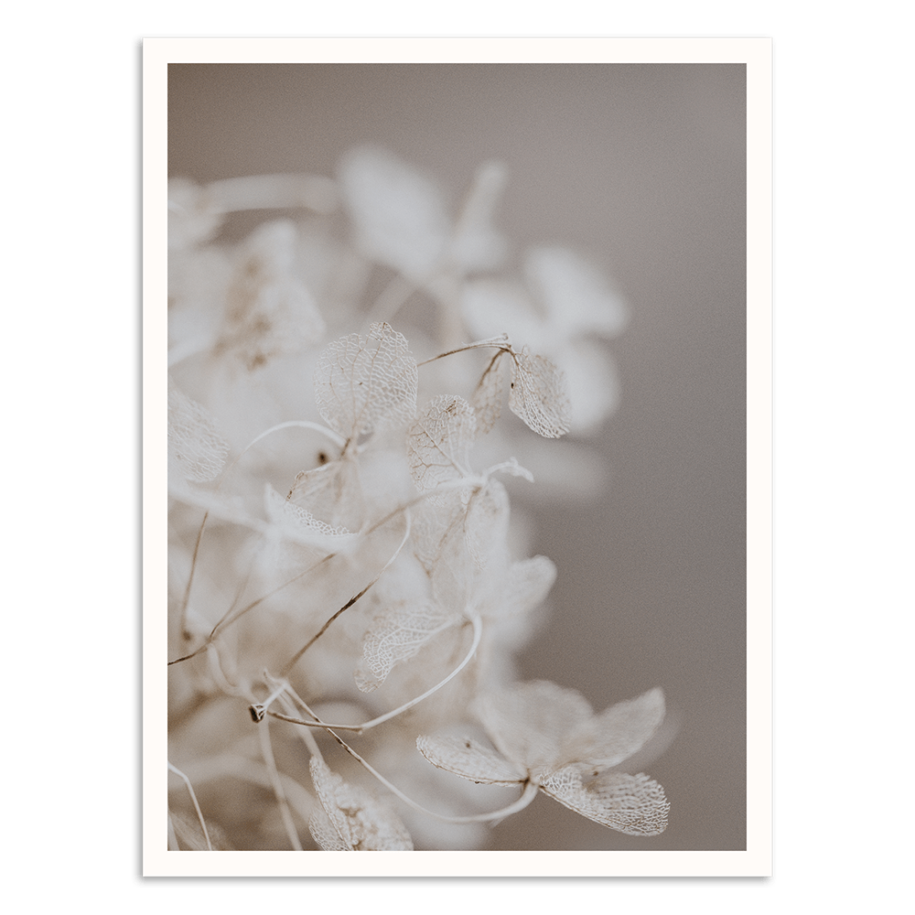 Fairy Wings Art Work