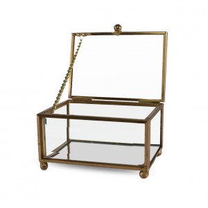 Little Brass & Glass Display Box