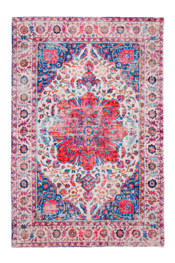 Babylon Traditional Distressed Rug