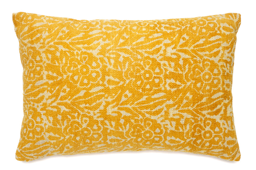 Cygnus Indoor Cushion