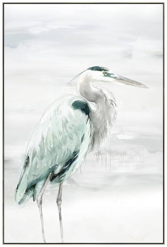 Water Bird Canvas