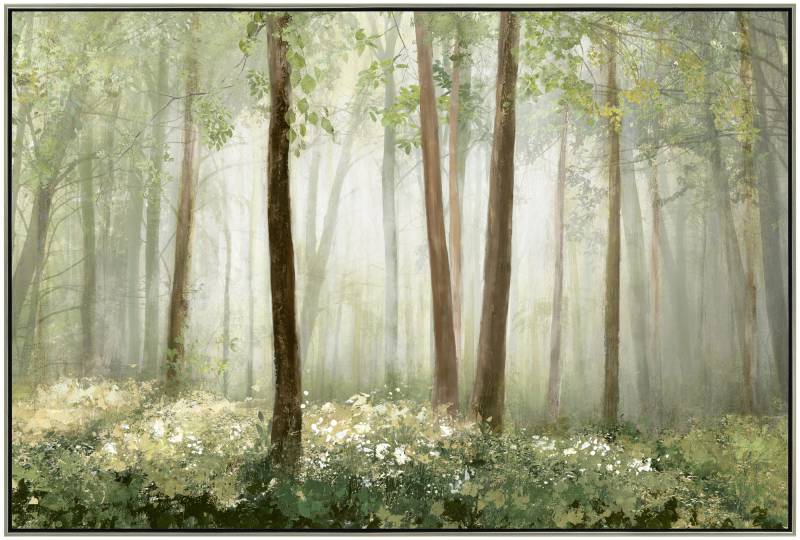 Sunlit Forest Canvas Wall Art