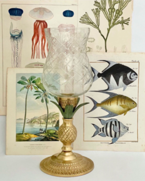 Exotico Glass Hurricane Candle Holder