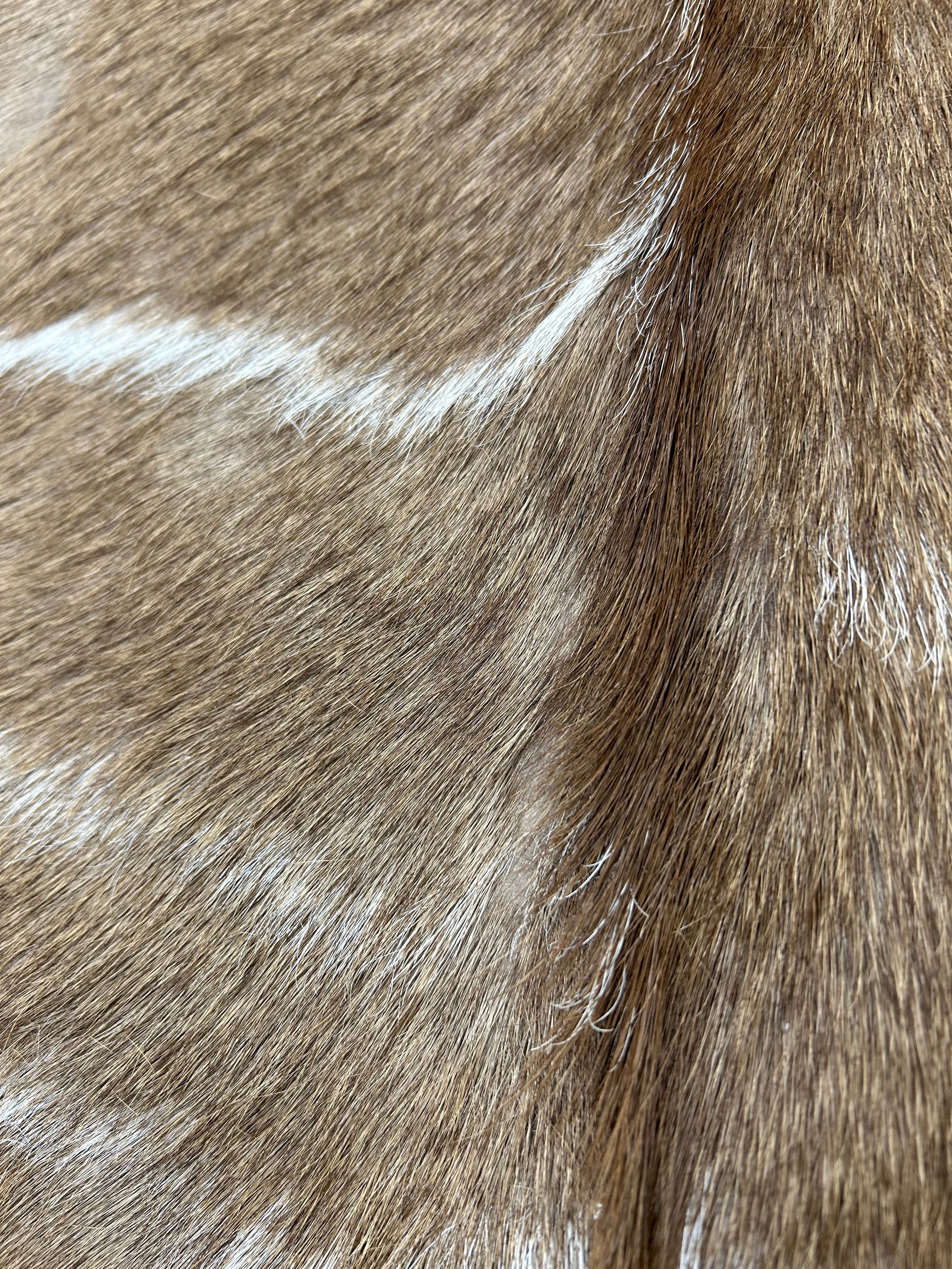 Kudu Hide Rug
