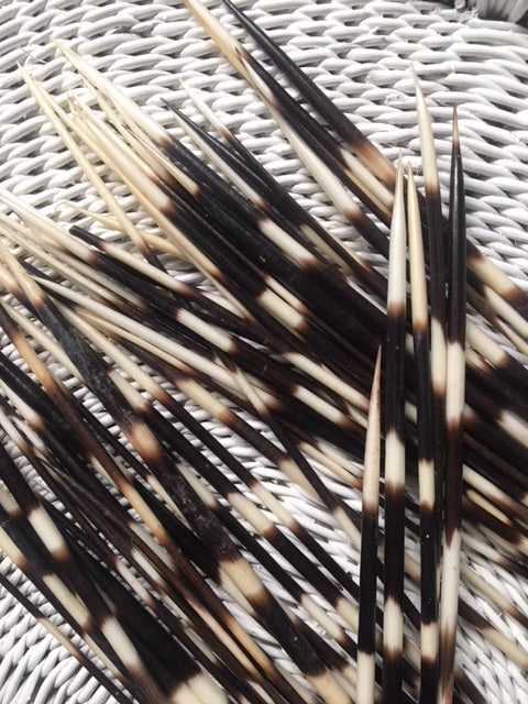 Porcupine Quill Mirror