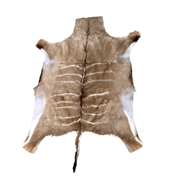 Kudu Hide Rug
