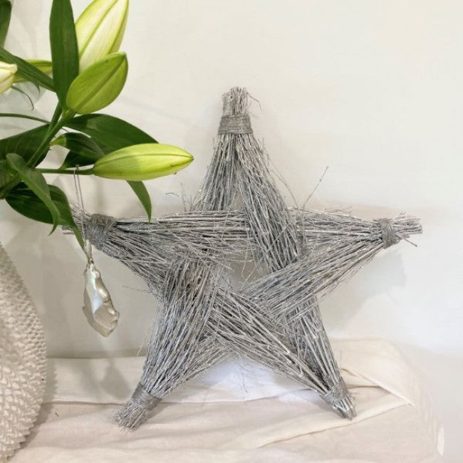 Krissy Star in Silver