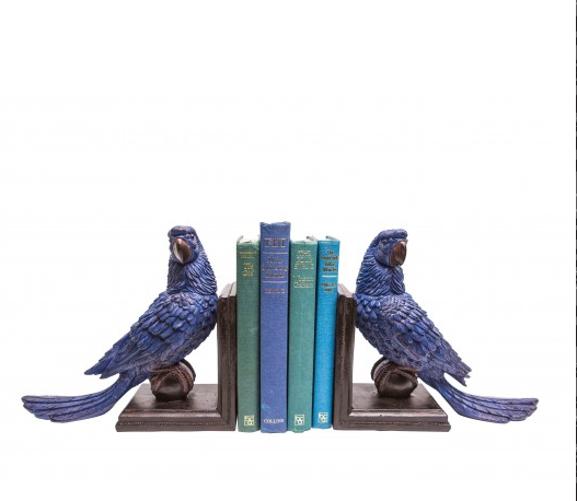 Ornithology Avairy Perroquet Bookend