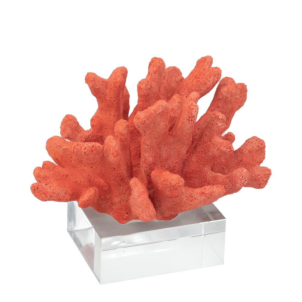 Palau Coral with Glass Base in Orange