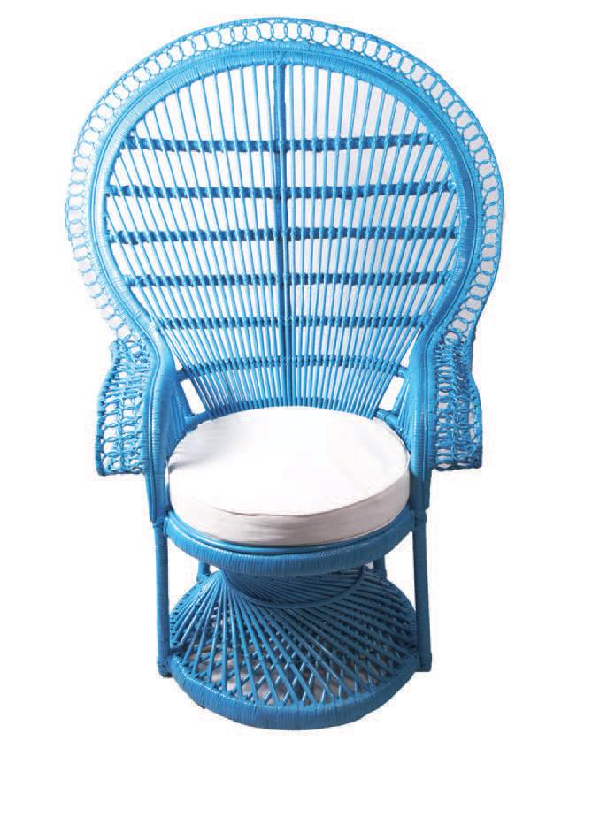 Peacock Chair in Colours