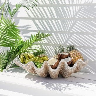 Giant Clam Shell - Natural Look - Clearance