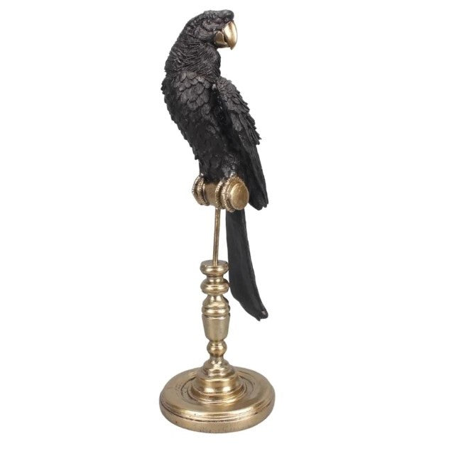 Parrot on Stand in Black