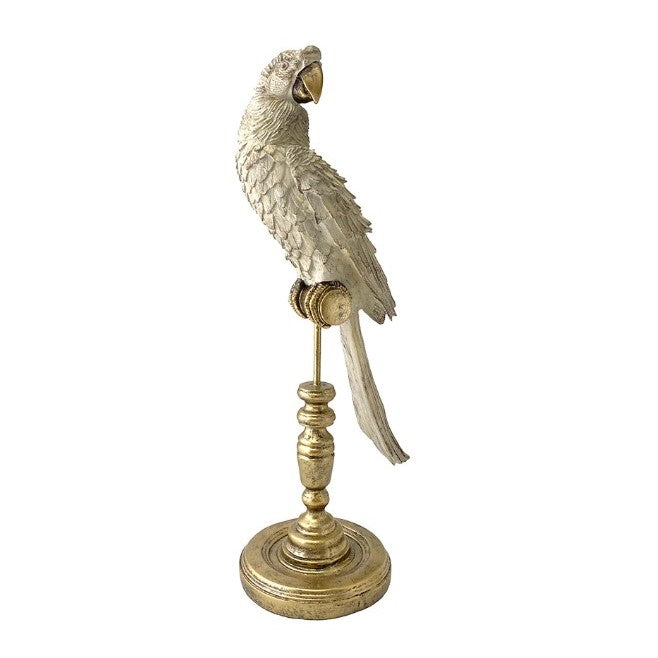 Parrot on Stand in White