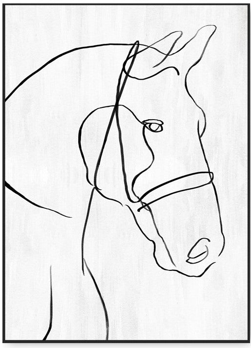 Equine Framed Canvas