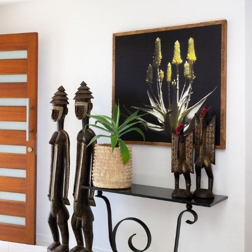 Ecologique Aloe Framed Canvas