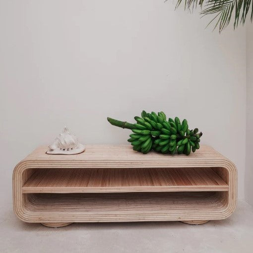 Rickie Rattan Entertainment Unit