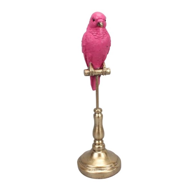 Budgerigar on Stand in Fuchsia