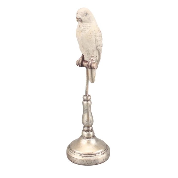Budgerigar on Stand in White