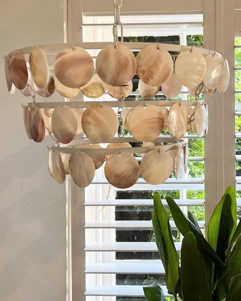 Shell Chandelier