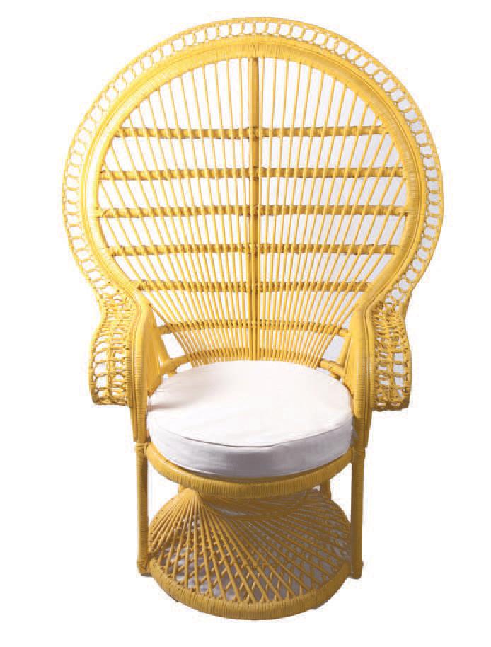 Peacock Chair in Colours