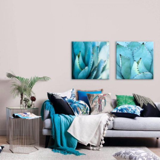 Agave Canvas Prints