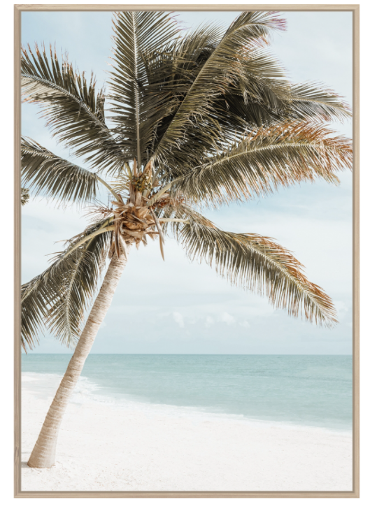 Palm Beach Wall Art