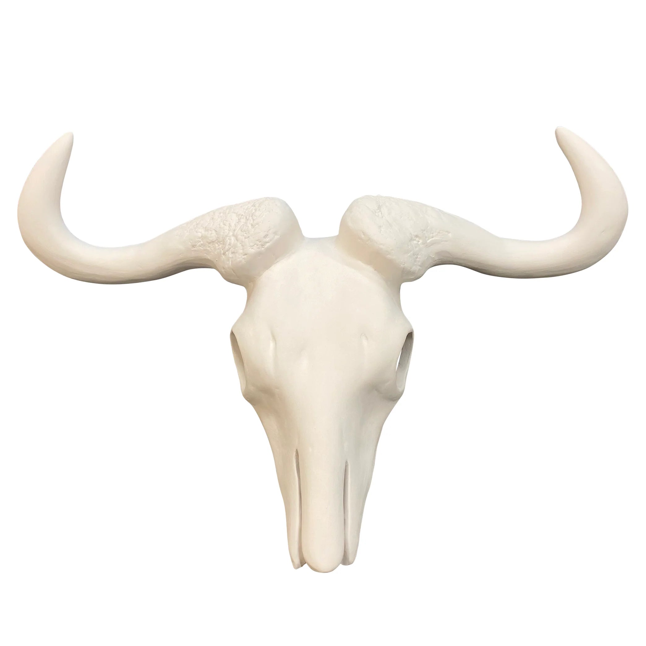 Ceramic  African Beast Skull