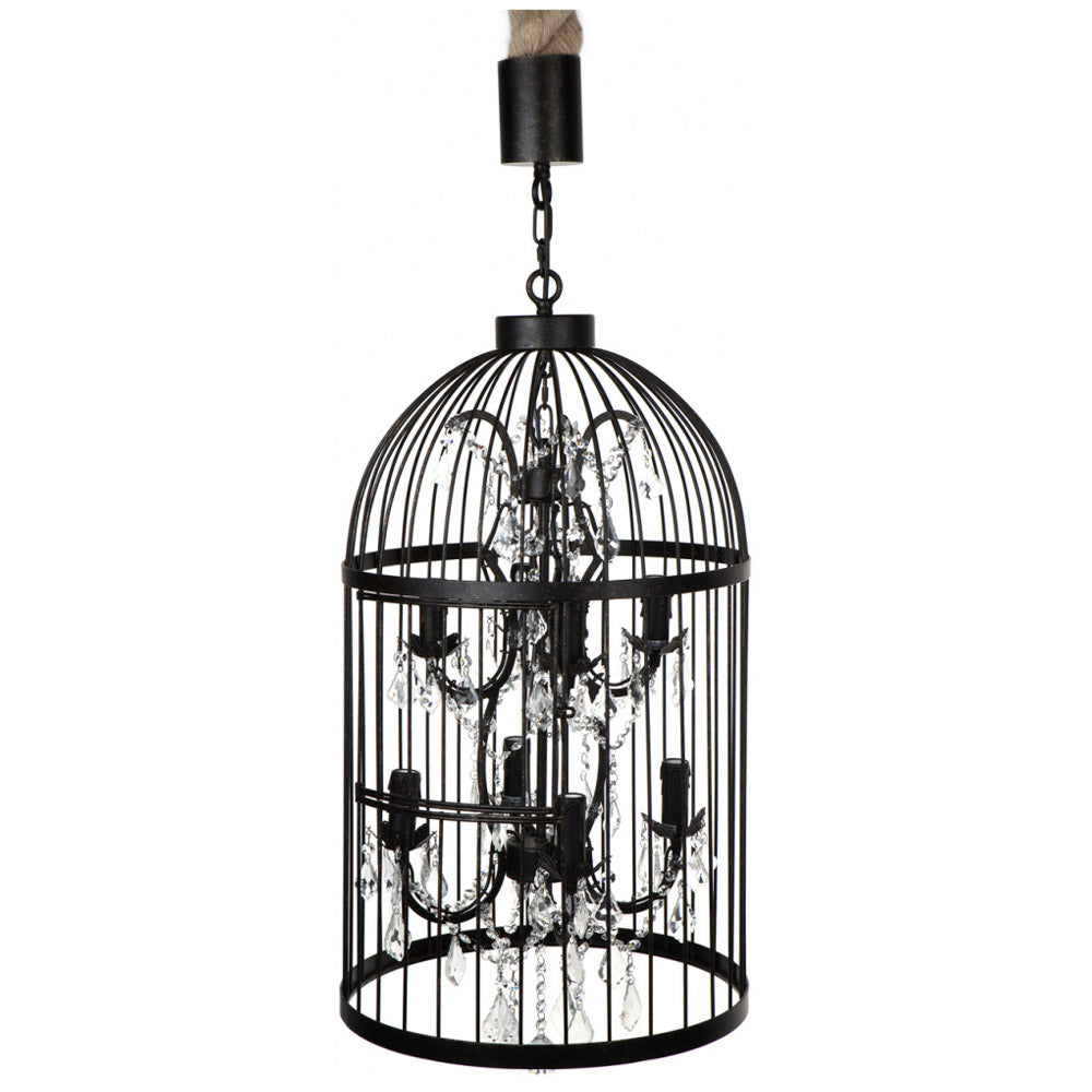 Macaw Chandelier