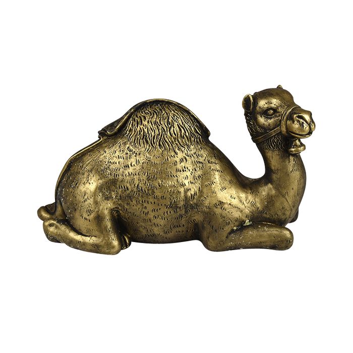 Cairo Sitting Camel
