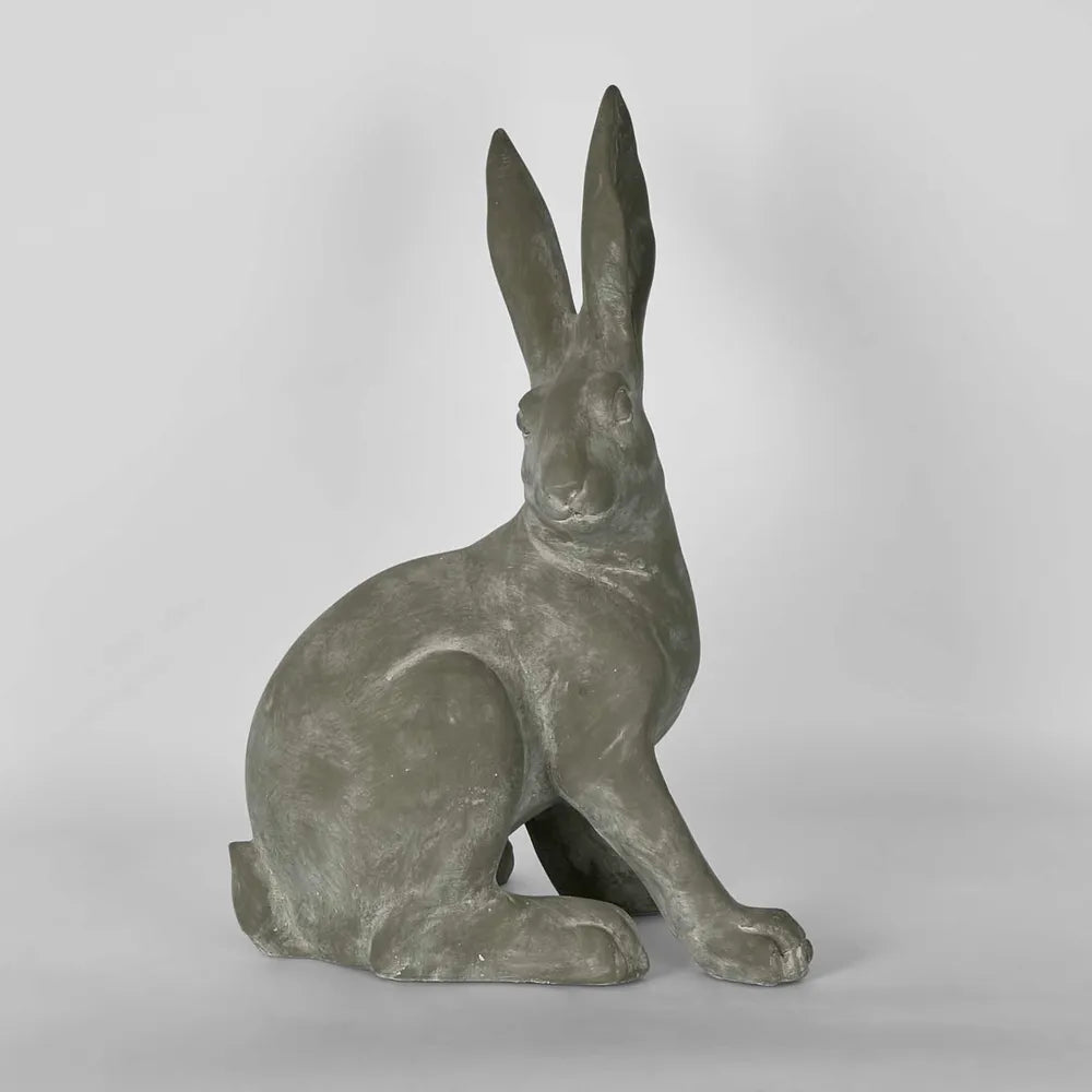 Hamish Hare - Sitting
