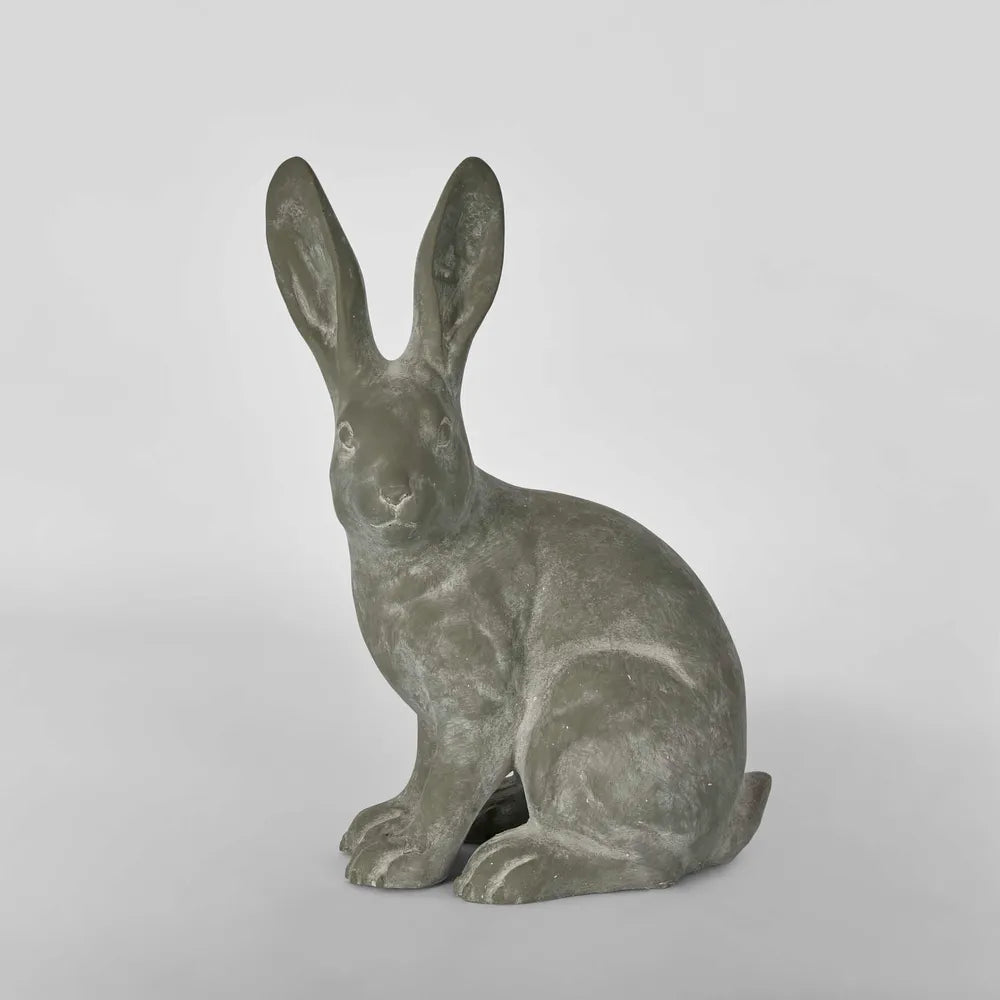 Hamish Hare Junior - Sitting