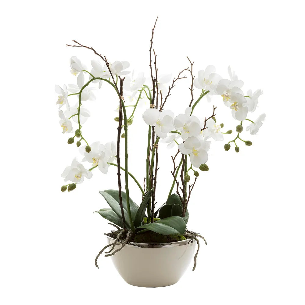 Orchid Potted Real Touch in White
