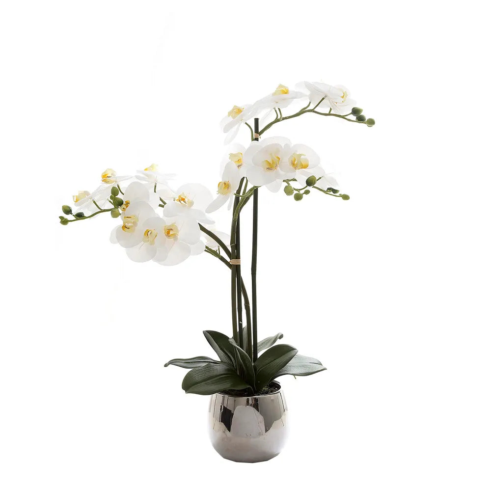 Phalaenopsis Real Touch Silver Pot