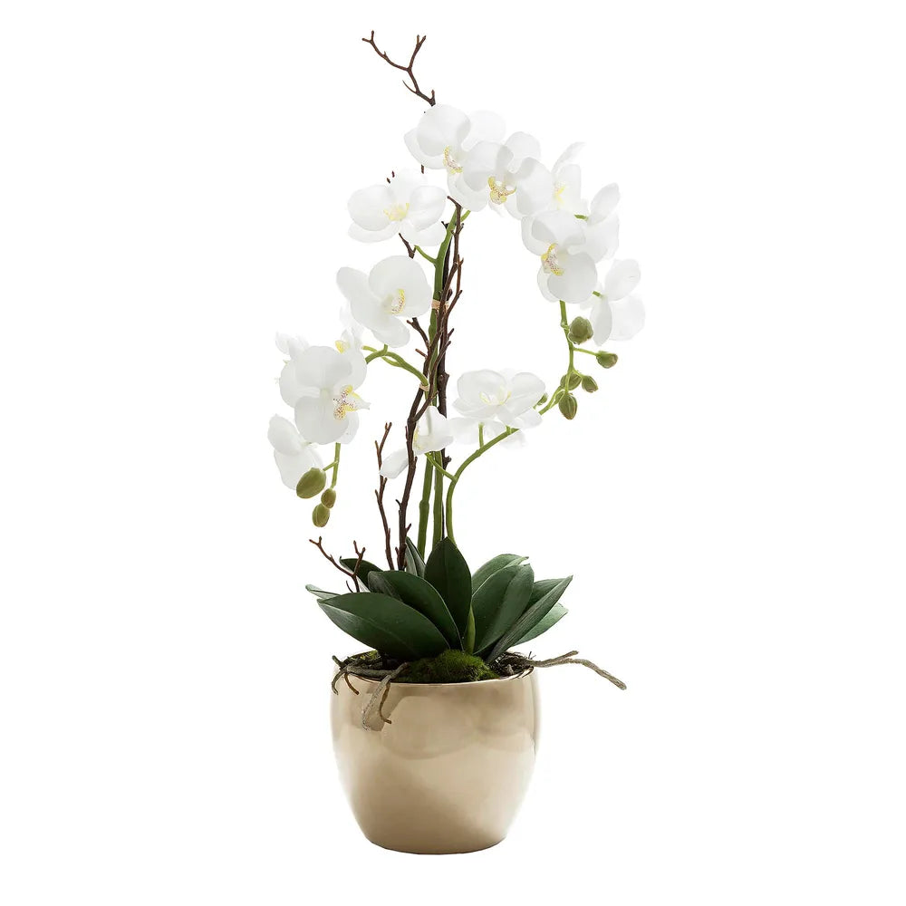 Orchid Real Touch In Ceramic
