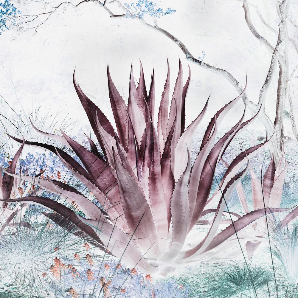 New Concept Moveable Wall Paper - Aloe