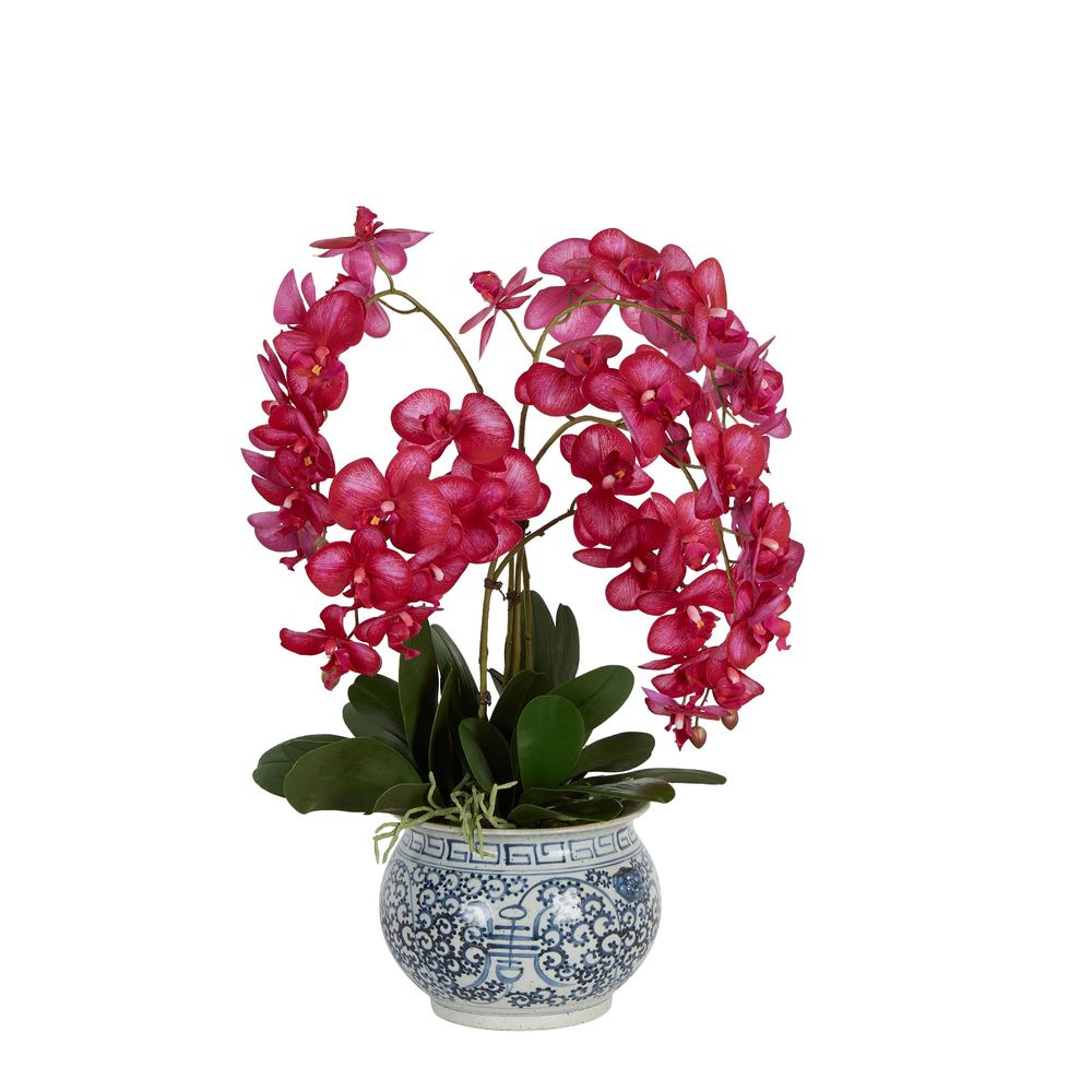 Hot Pink Orchid In Ceramic Planter