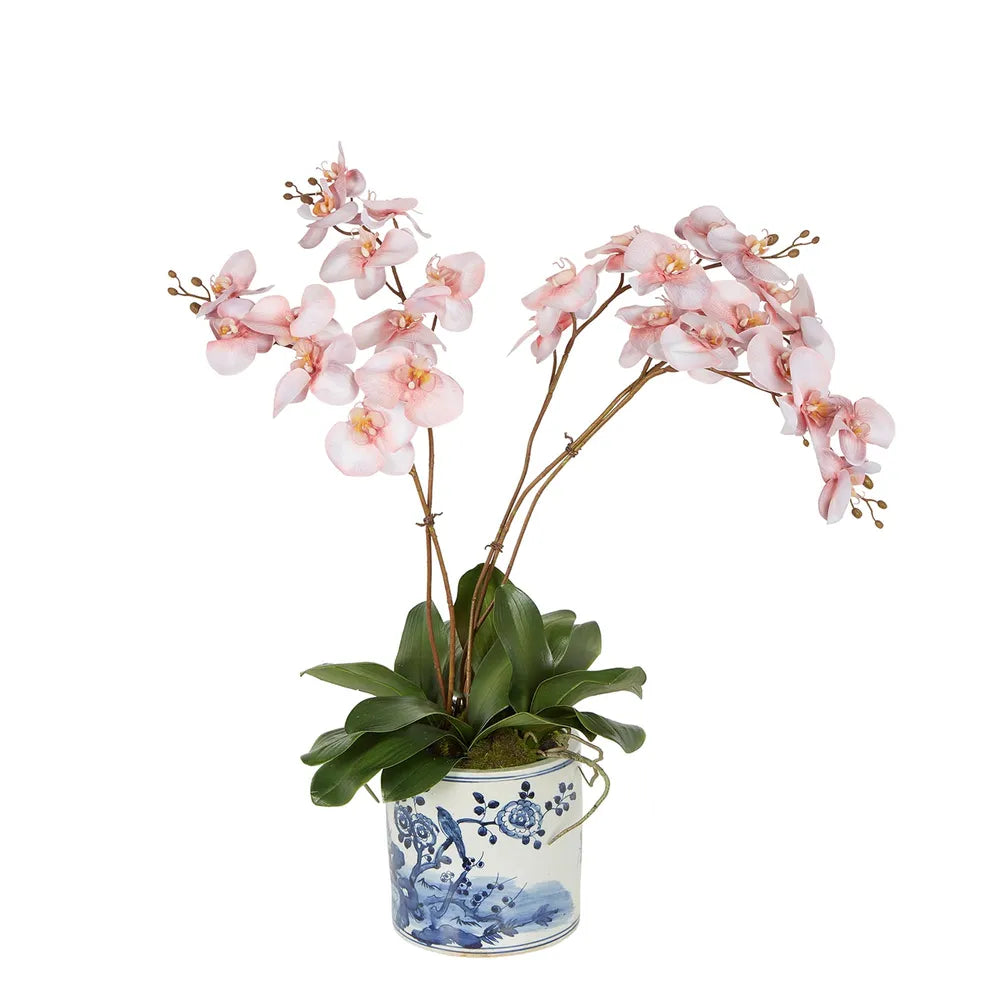 Cheng Orchid Arrangment In Pink
