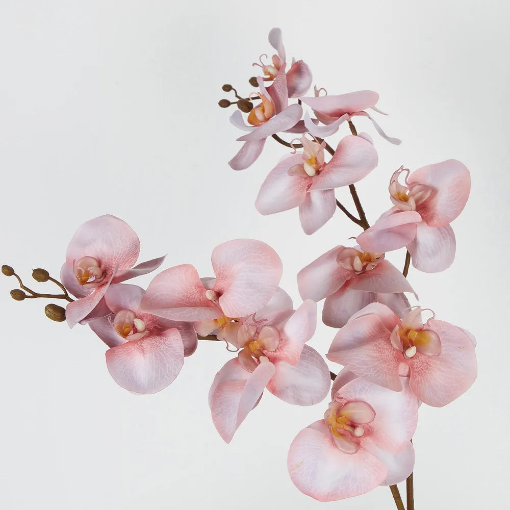 Cheng Orchid Arrangment In Pink