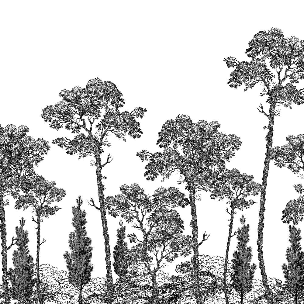 New Concept Moveable Wall Paper - Etched Trees