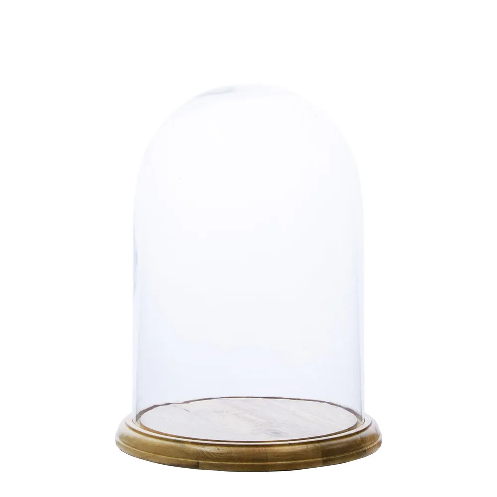 Glass Dome with Natural Timber Base
