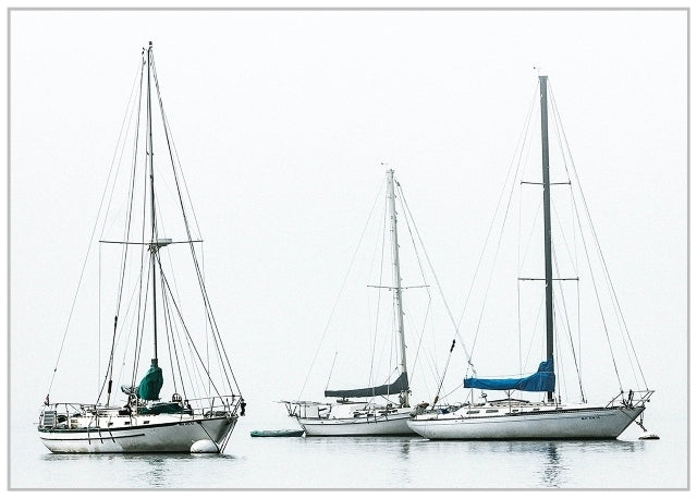 Bay Vista Yachts Canvas