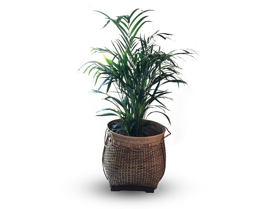 Lombok Basket - Warehouse Sale